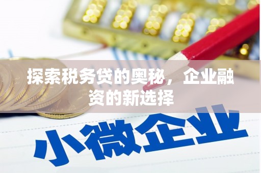 定安探索税务贷的奥秘，企业融资的新选择