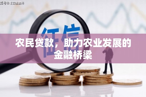 定安农民贷款，助力农业发展的金融桥梁