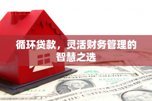 定安循环贷款，灵活财务管理的智慧之选