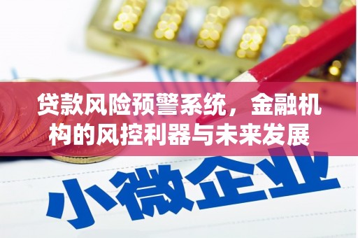 定安贷款风险预警系统，金融机构的风控利器与未来发展