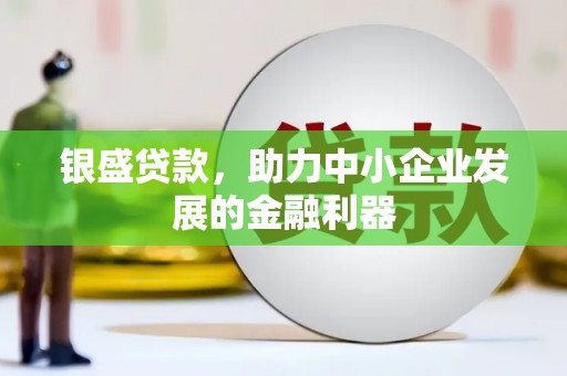 定安银盛贷款，助力中小企业发展的金融利器