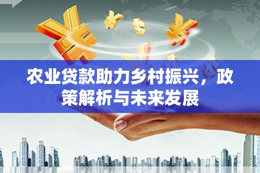 定安农业贷款助力乡村振兴，政策解析与未来发展