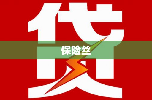 定安保险丝
