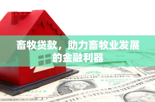 定安畜牧贷款，助力畜牧业发展的金融利器
