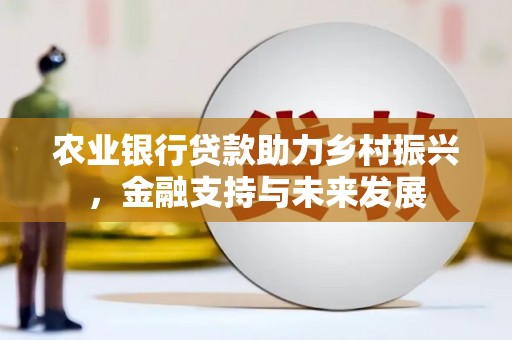 定安农业银行贷款助力乡村振兴，金融支持与未来发展