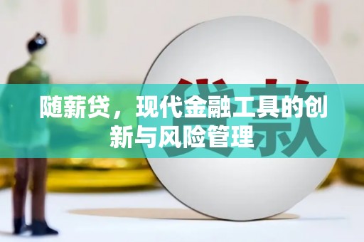 定安随薪贷，现代金融工具的创新与风险管理