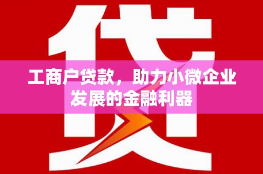 定安工商户贷款，助力小微企业发展的金融利器