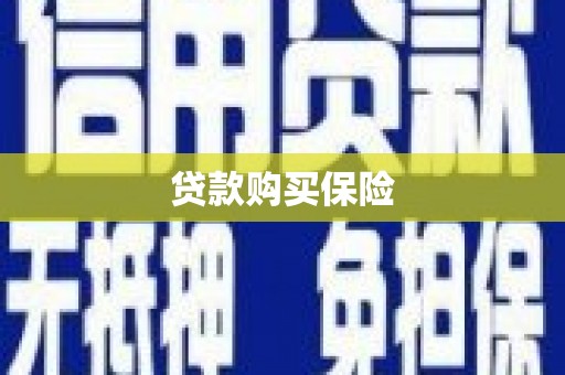 定安贷款购买保险