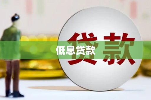 定安低息贷款