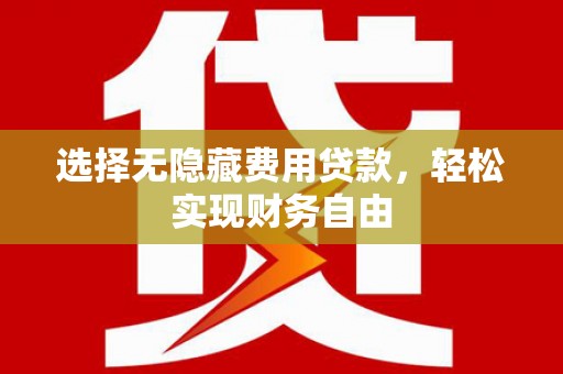 定安选择无隐藏费用贷款，轻松实现财务自由