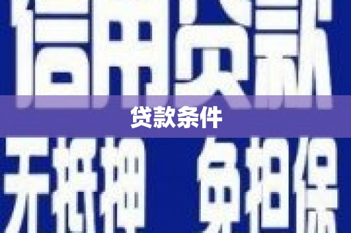 定安贷款条件
