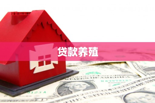 定安贷款养殖