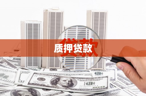 定安质押贷款