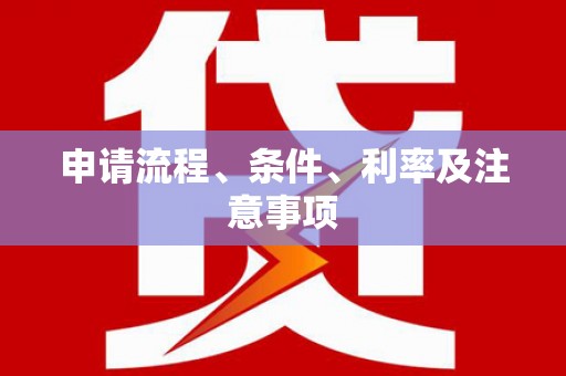 定安申请流程、条件、利率及注意事项
