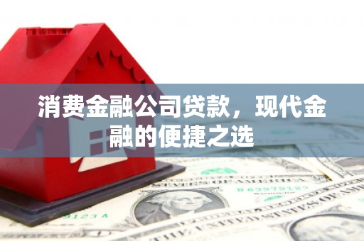 定安消费金融公司贷款，现代金融的便捷之选