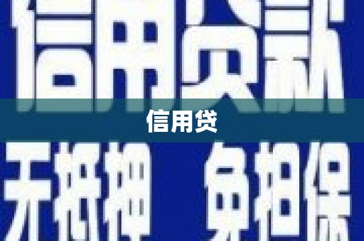 定安信用贷