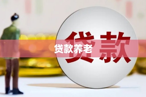 定安贷款养老