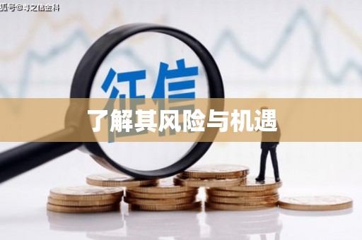 定安了解其风险与机遇