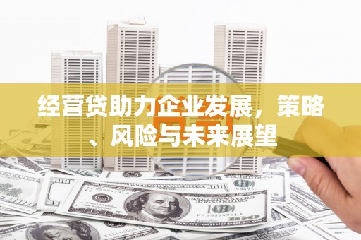 定安经营贷助力企业发展，策略、风险与未来展望