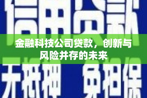 定安金融科技公司贷款，创新与风险并存的未来