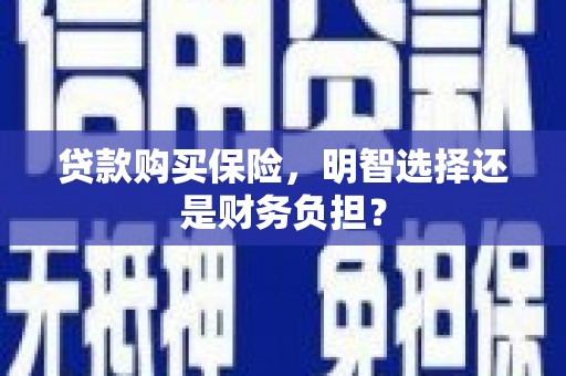 定安贷款购买保险，明智选择还是财务负担？