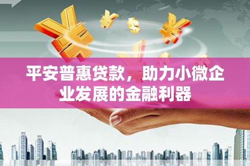 定安平安普惠贷款，助力小微企业发展的金融利器