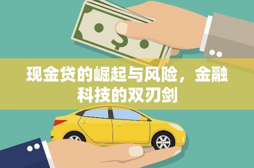 定安现金贷的崛起与风险，金融科技的双刃剑