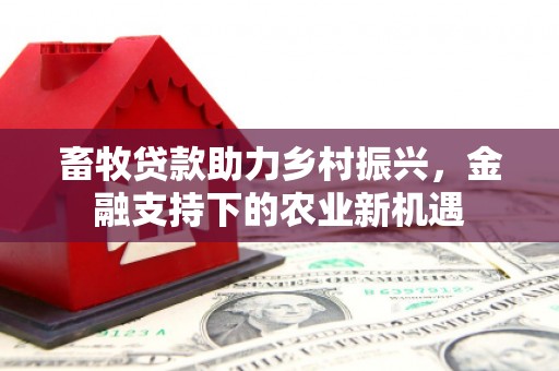 定安畜牧贷款助力乡村振兴，金融支持下的农业新机遇