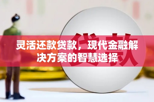 定安灵活还款贷款，现代金融解决方案的智慧选择