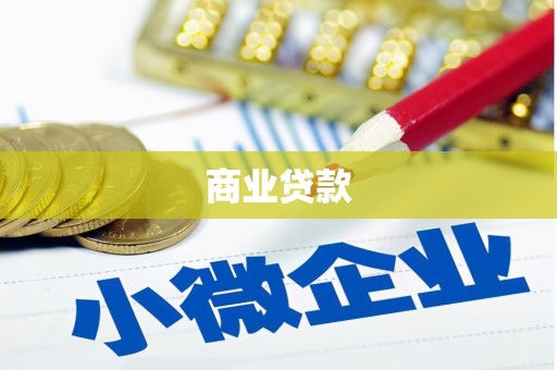 定安商业贷款