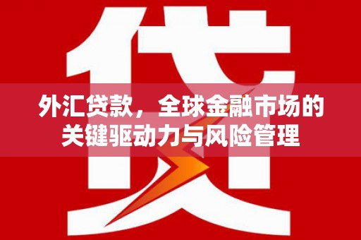 定安外汇贷款，全球金融市场的关键驱动力与风险管理