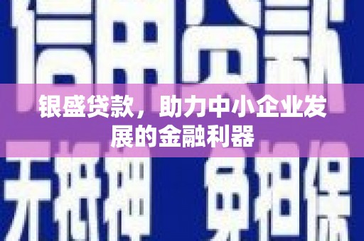 定安银盛贷款，助力中小企业发展的金融利器