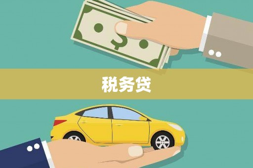 定安税务贷