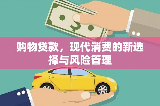 定安购物贷款，现代消费的新选择与风险管理