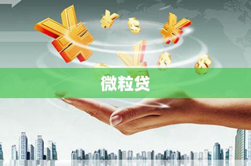 定安微粒贷