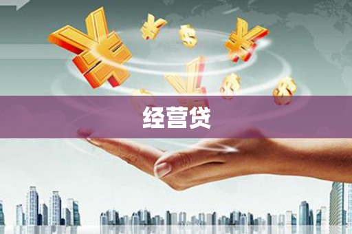 定安经营贷