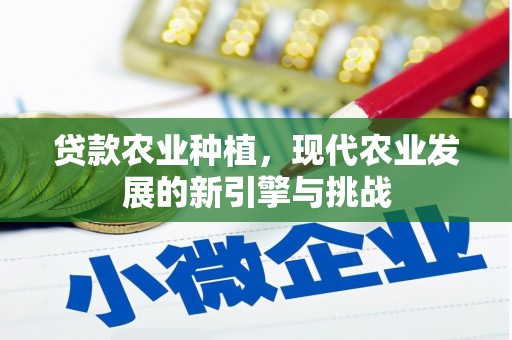 定安贷款农业种植，现代农业发展的新引擎与挑战