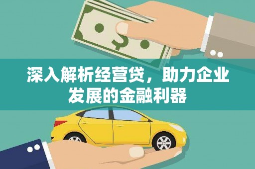 定安深入解析经营贷，助力企业发展的金融利器