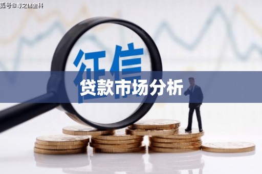 定安贷款市场分析