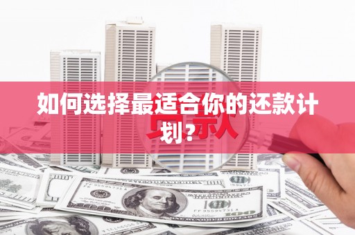 定安如何选择最适合你的还款计划？