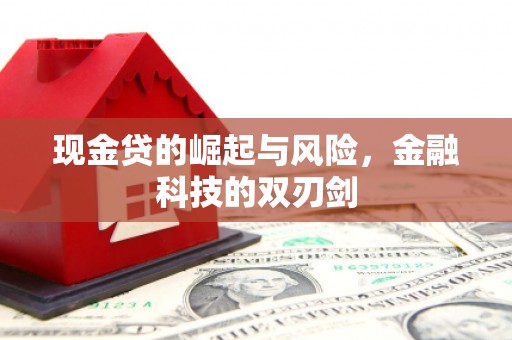 定安现金贷的崛起与风险，金融科技的双刃剑