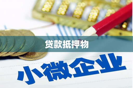 定安贷款抵押物