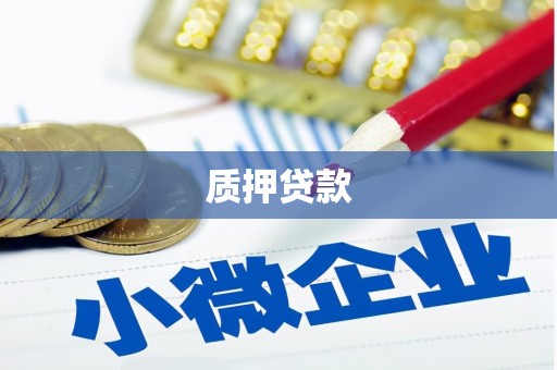 定安质押贷款