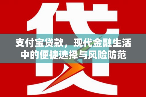 定安支付宝贷款，现代金融生活中的便捷选择与风险防范