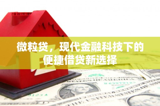 定安微粒贷，现代金融科技下的便捷借贷新选择