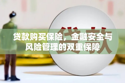定安贷款购买保险，金融安全与风险管理的双重保障