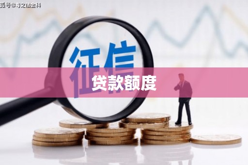 定安贷款额度