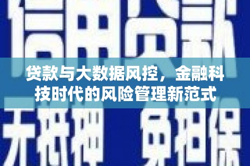 定安贷款与大数据风控，金融科技时代的风险管理新范式