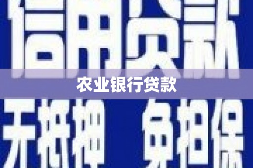 定安农业银行贷款