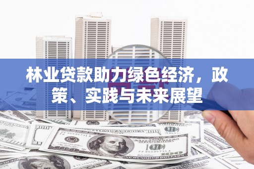 定安林业贷款助力绿色经济，政策、实践与未来展望